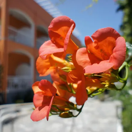 Benitses Arches Hotel