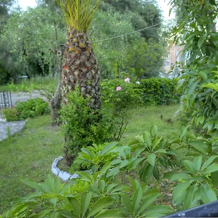 Benitses Arches מלון